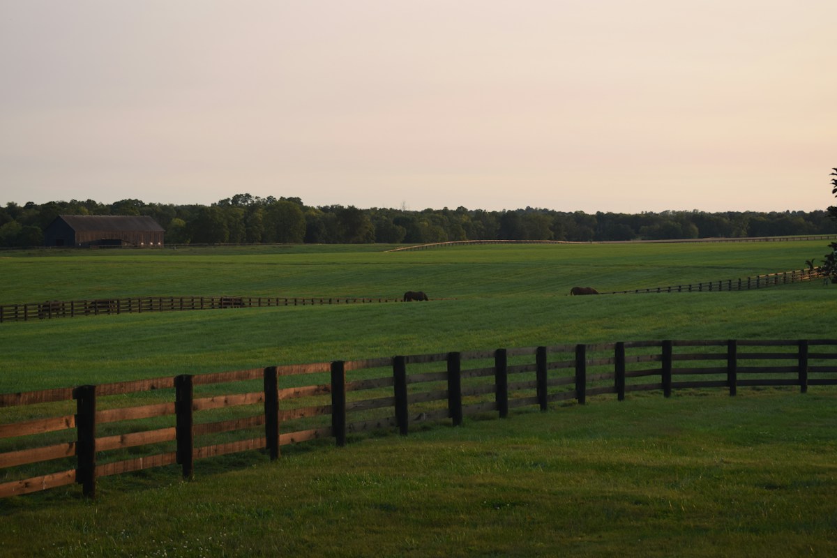 Ashburne Farms