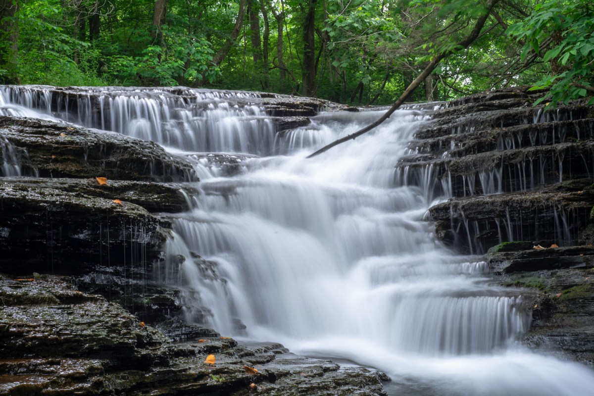 Daniel Boone National Forest