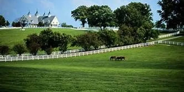 Lexington Morning